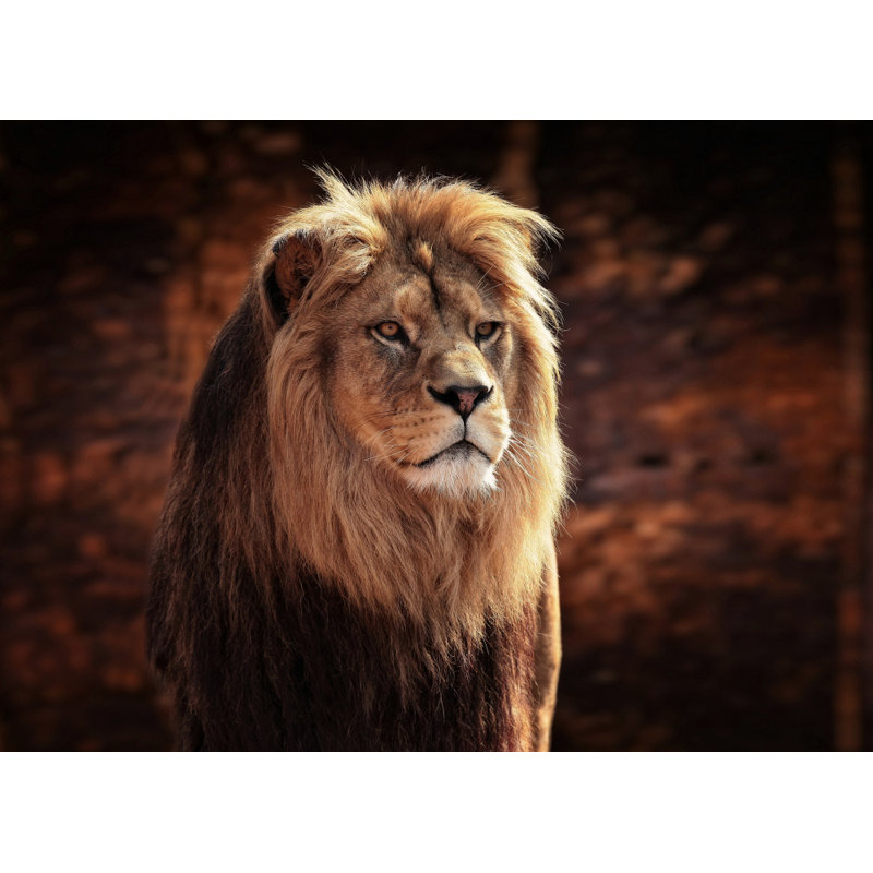 Wrapped Canvas Print, 50.8 cm H x 76.2 cm W