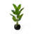 Simulation Traveller's Banana Large Green Plant-111038293-111038294