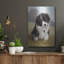«Border Collie Puppy» par John Silver-1122714860