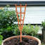 Chakevia Plant Stand