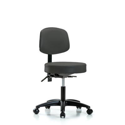 Amundson Backed Adjustable Height Ergonomic Lab Stool