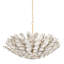 Aimi 12 Light Chandelier