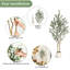 152cm Plant