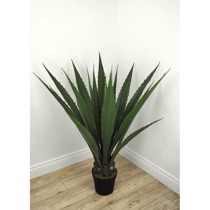 Fausse agave botanique au fini vert, H 53 po x l 26 po x P 26 po