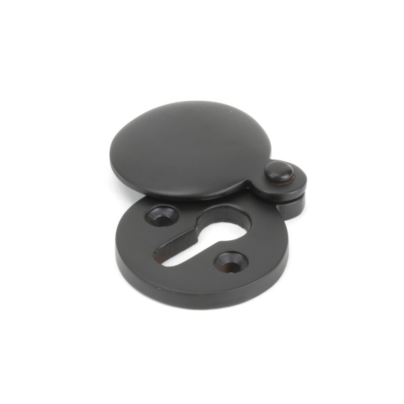 Escutcheon Satin Chrome, Aged Bronze