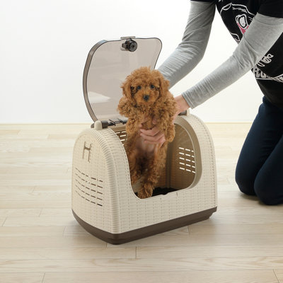 Faux Wicker Pet Carrier