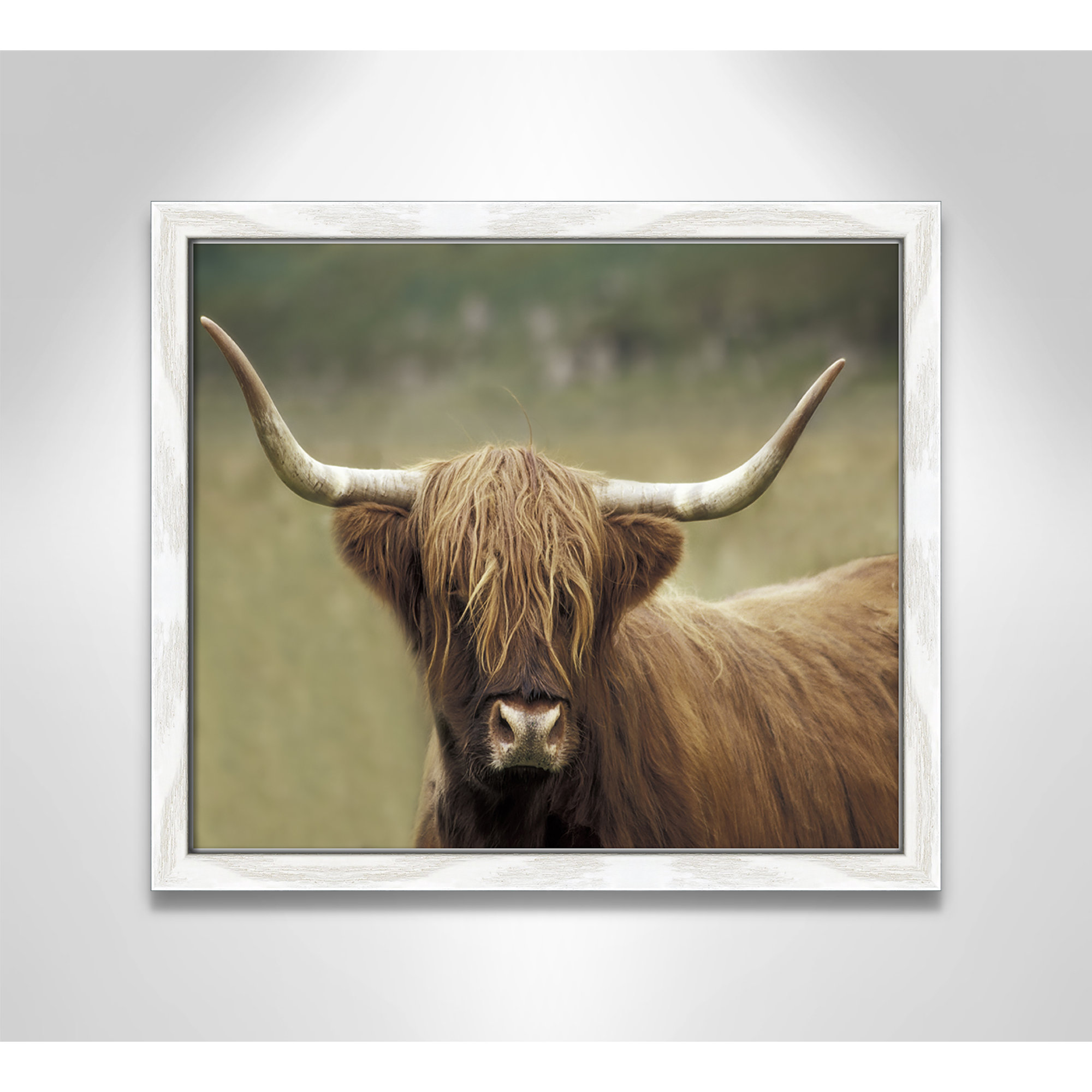 Highland Afternoon by Danita Delimont - Picture Frame Photograph, White Wood Grain Framed, 13" H x 15" W x 0.75" D