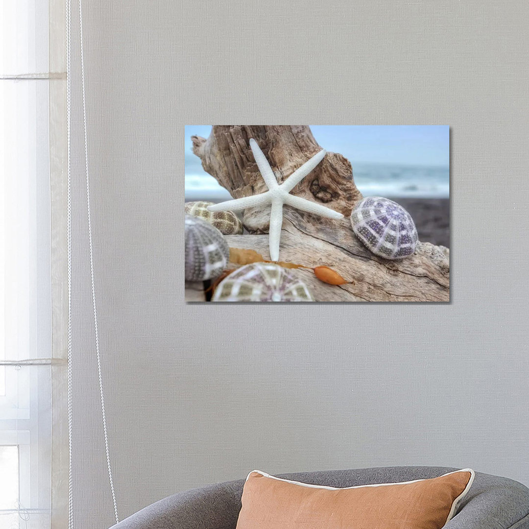 Leinwandbild Crescent Beach Shells VII von Alan Blaustein