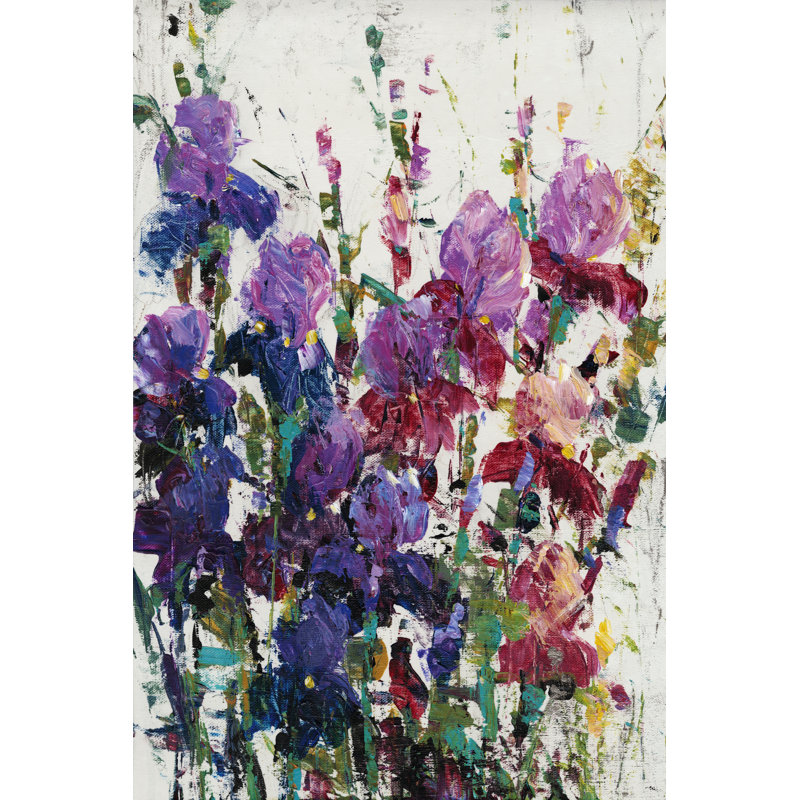Iris Blooming II by Tim OToole - Wrapped Canvas Painting, 46cm H x 30cm W x 3.8cm D