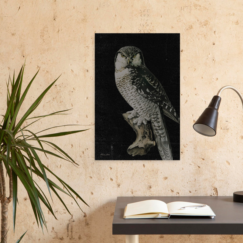 Moody Owl, H 24 po x l 16 po