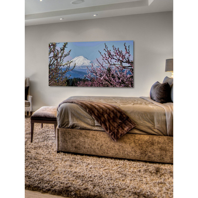 Mr. Adams In Spring by Don Schwartz - Wrapped Canvas Print, 30 cm H x 61 cm W