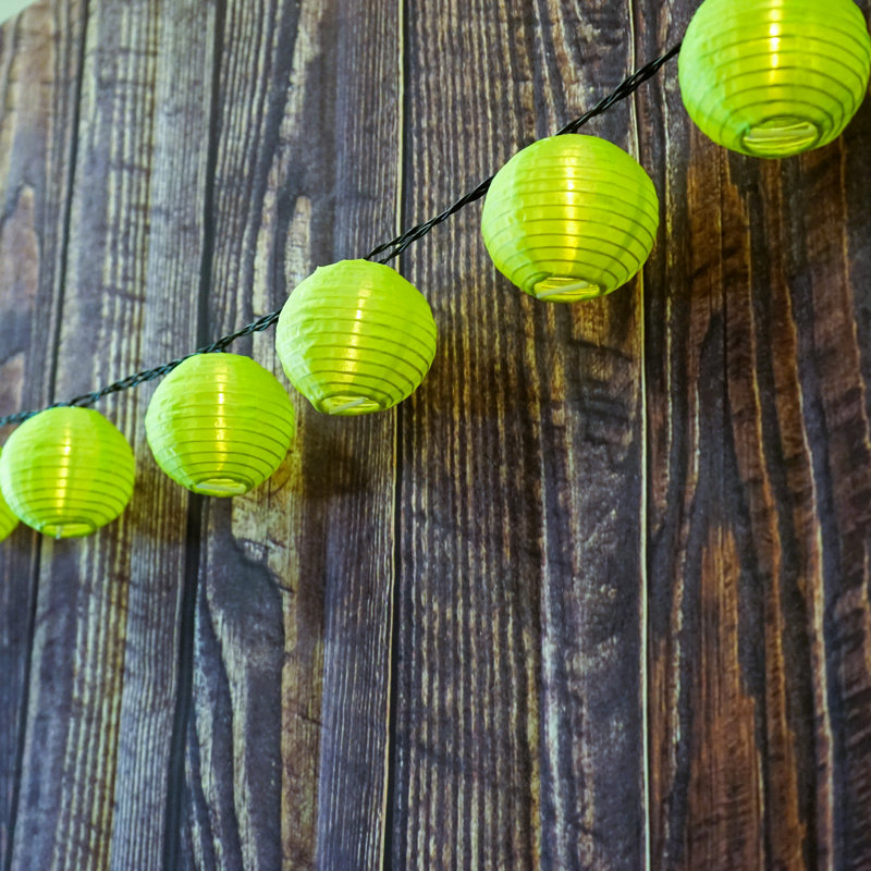 Outdoor 40 - Bulb 393.7'' Solar Powered LED Shaded String Light, Green