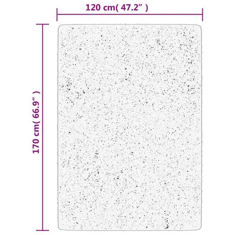 Ariyani 120cm X 170cm Area Rug