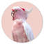 Pink Exotic Feather Coral Fashion and Glam Round Acrylic Art by Oliver Gal-593430105