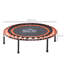 Freeport Park ft Round Fitness Trampoline