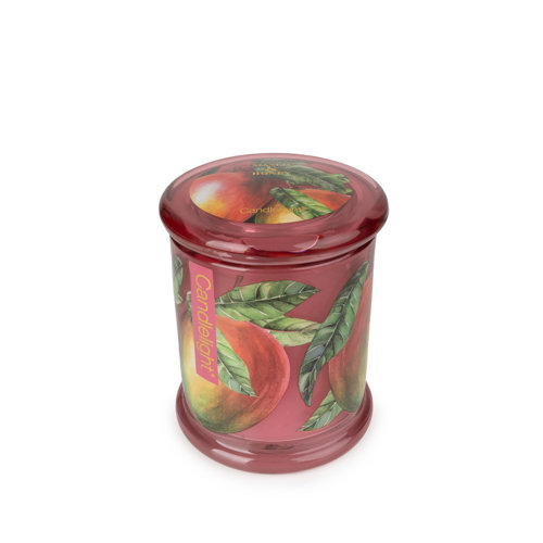 Fruity Scented Jar Candle with Glass Holder