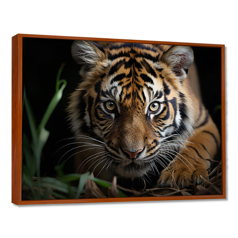 Portrait de tigre brun - art mural tigre, H 24 po x l 32 po x P 1 po, Brown Floater Framed