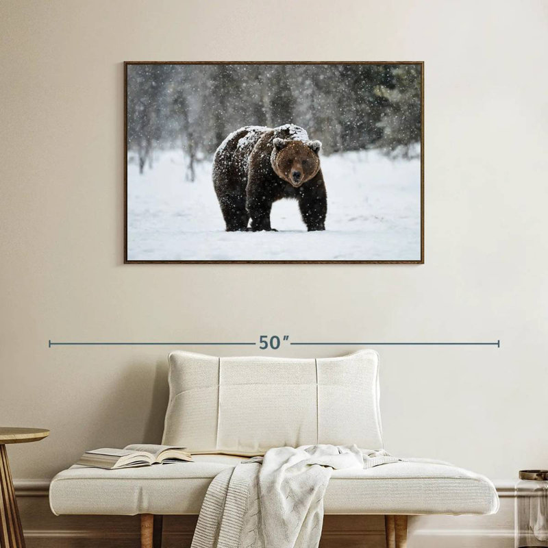 Ours grizzly d'hiver, Cadre flottant noyer, 40 po x 27 po
