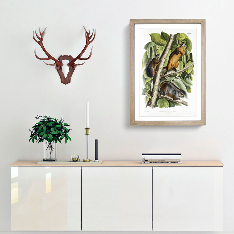 Red-Bellied Squirrels by J.W. Audubon - Picture Frame Painting Print, Oak Framed, 65cm H x 48cm W x 2cm D