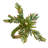 Napkin Ring Collection Iron Stainless Steel