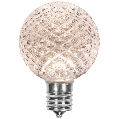 Globe Light Bulbs