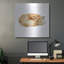 «Sleeping Fox» par Katrina Pete-386528347