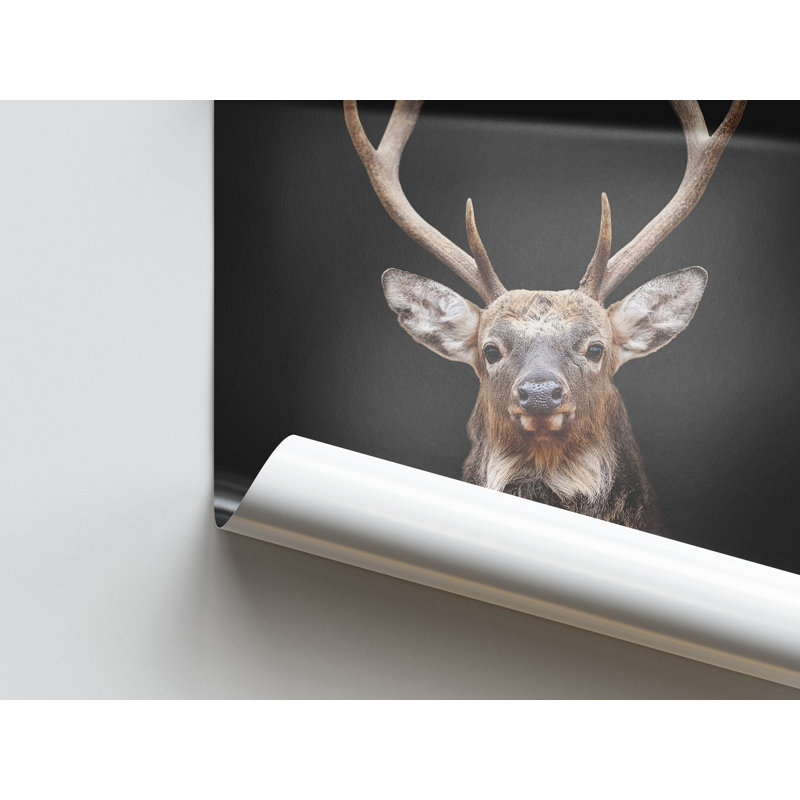 Print on Canvas, 20 cm H x 30 cm W, White Floater Framed