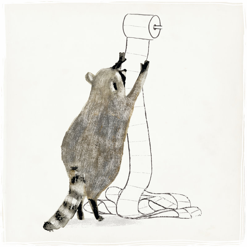Rascally Raccoon IV by Victoria Barnes - Wrapped Canvas Painting, 51cm H x 51cm W x 3.8cm D