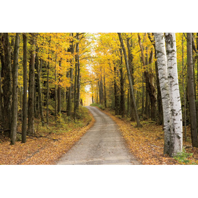 Vermont Country Road