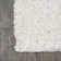 Anttwan Solid Shag Ivory Rug