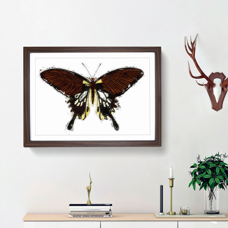 Black Butterfly by George Shaw - Framed Print, 27cm H x 36cm W x 2cm D, Walnut Framed