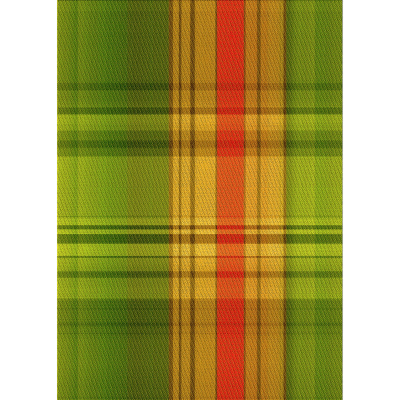 Plaid Indoor Rug, Rectangle 2' x 3'