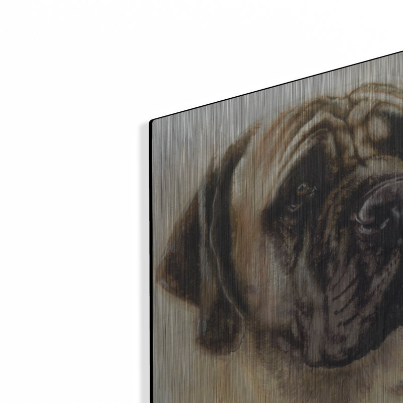 "Mastiff" par Barbara Keith, H 24 po x l 16 po