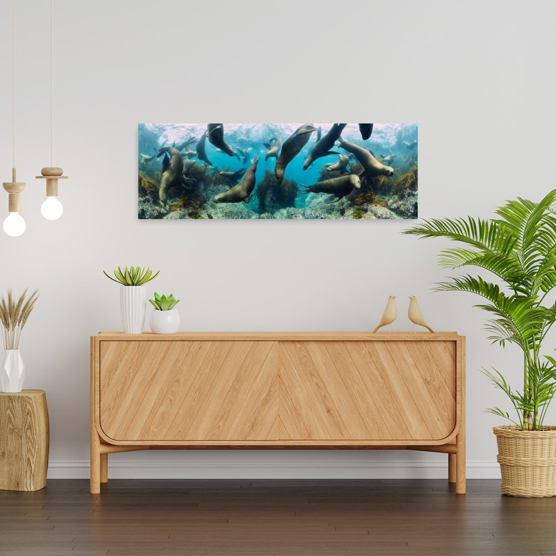 Playful Sea Lions Underwater by Andrey Narchuk - Wrapped Canvas Panoramic Print, 30.84cm H x 91.44cm W