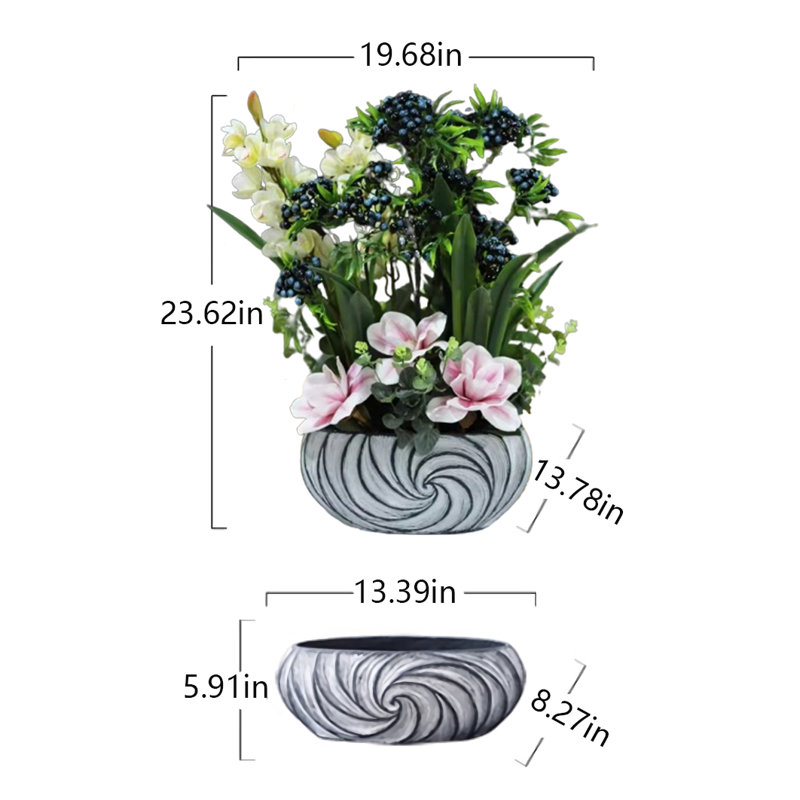 23,62 Plante