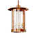 Rustic Lodge 1 - Light Pendant