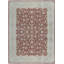 Oriental Area Rug in Red/Ivory