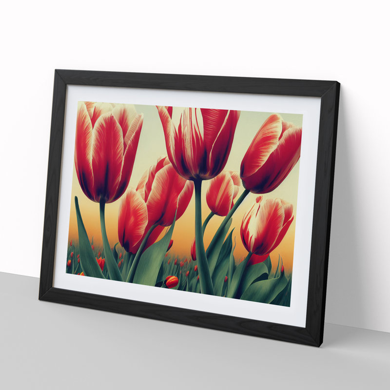Tulip Flowers - Single Picture Frame Print, Black Framed, 46cm H x 64cm W x 2cm D