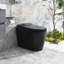 1.28GPF Siphon Jet Flushing Smart Toilet With Heated Bidet Seat