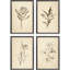 Set Of Four Vintage Line Black Framed Print Wall Art