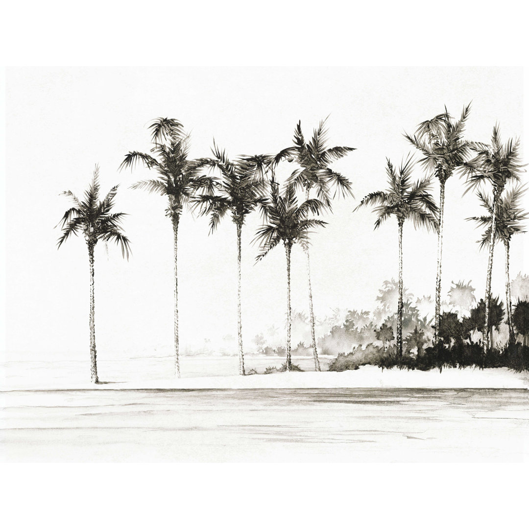 " Palm Trees Beach Black And White " Bayou Breeze 