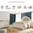 Eridani 63.88'' W 7 - Drawer Dresser