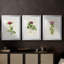 «Pretty Pink Botanicals II», reproduction sur mesure encadrée de qualité supérieure - 3 pièces-1063029852-1063029853