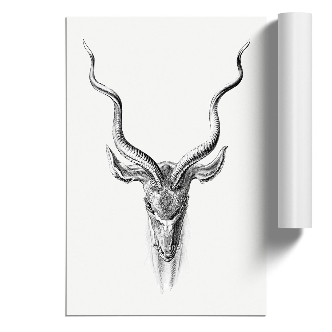 Vintage Antelope by Ernst Haeckel - Frameless Print