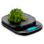 Ozeri Digital Scale-27609350