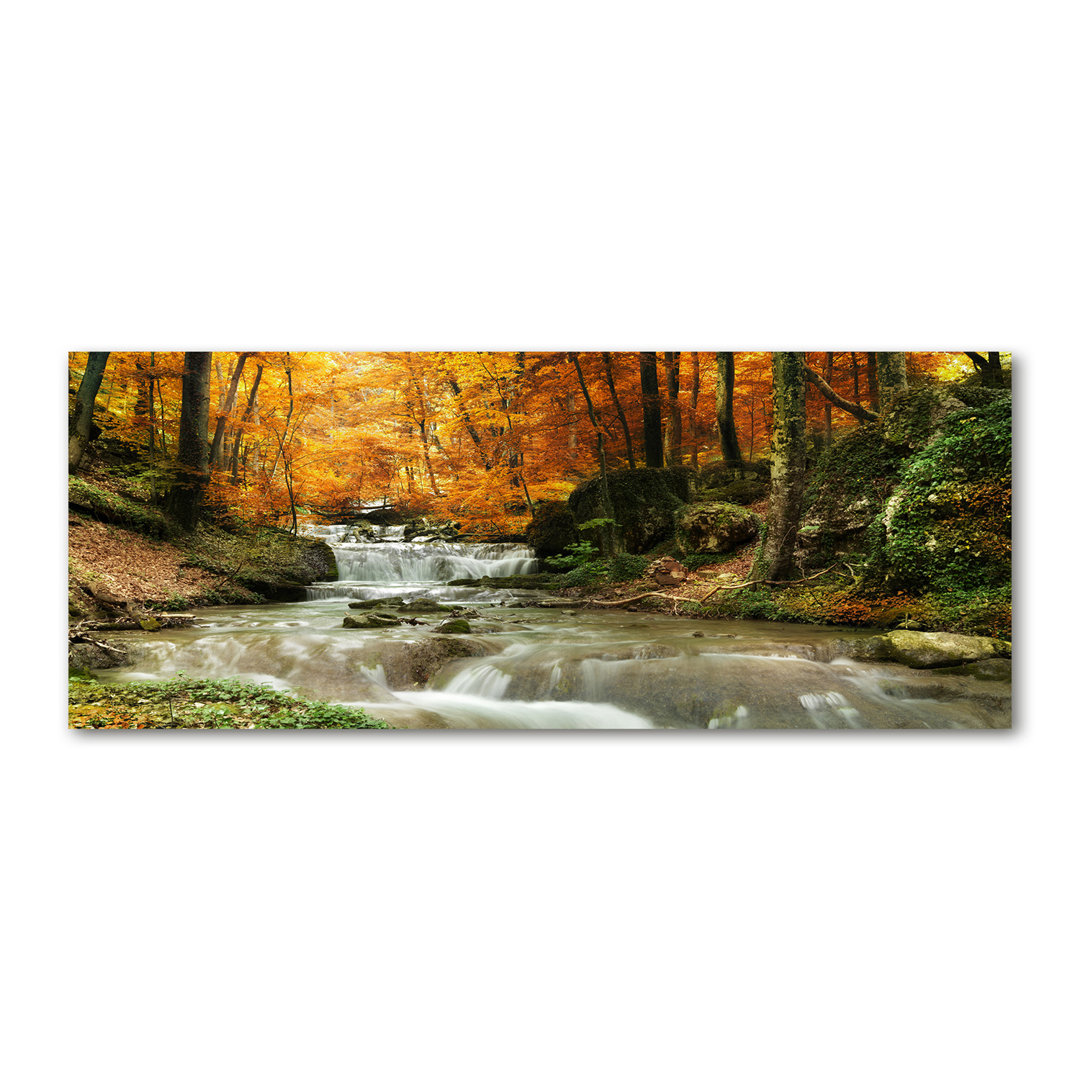 Glasbild Wasserfall im Wald