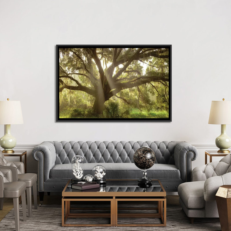 Magnifique chêne de vivre du Sud, Flordia de Maresa Pryor-impression, H 40 po x l 60 po x 1,5 po, Toile avec cadre noir