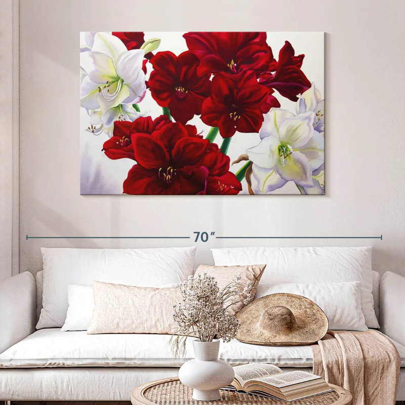 Amaryllis Harnek rouge et blanc, H 32 po x l 48 po