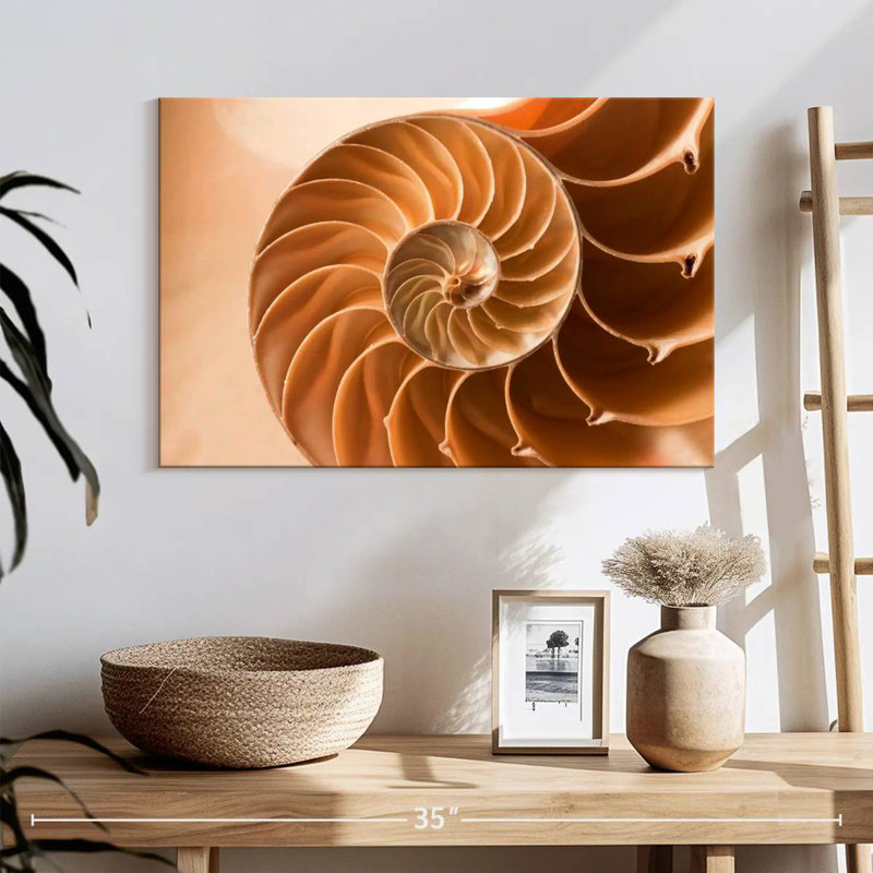 Aletra Nautilus Shell Inside, 16" H x 24" W