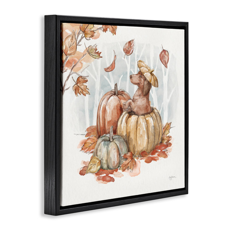 «Fun Dachshund & Pumpkin» par Mary Urban, Cadre flottant noir de jais, H 25 po x l 25 po